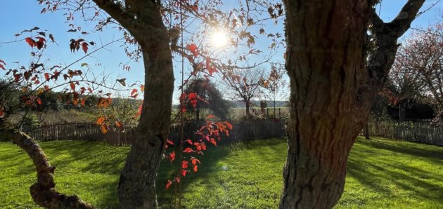 Une fin de saison poétique et colorée à Gisacum